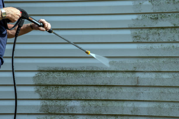 Best Window and Screen Pressure Cleaning in Dayton, VA